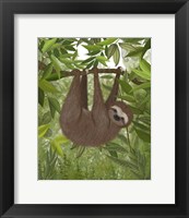 Framed Sloth Hanging Around