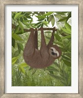 Framed Sloth Hanging Around