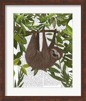 Framed Sloth Hanging Around