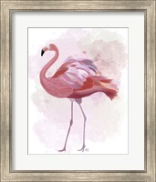 Framed 'Fluffy Flamingo 1' border=