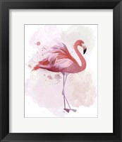 Framed Fluffy Flamingo 2