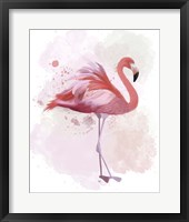 Framed Fluffy Flamingo 2