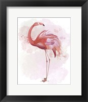 Framed Fluffy Flamingo 3