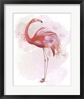 Framed Fluffy Flamingo 3