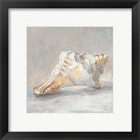 Framed 'Impressionist Shell Study I' border=