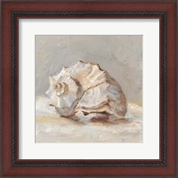 Framed Impressionist Shell Study II