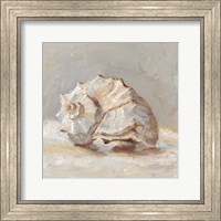 Framed Impressionist Shell Study II