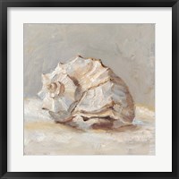 Framed Impressionist Shell Study II