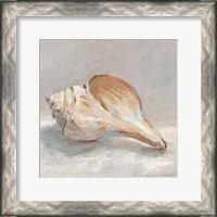 Framed Impressionist Shell Study III