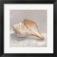 Framed Impressionist Shell Study III