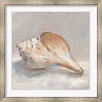 Framed Impressionist Shell Study III