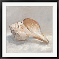 Framed Impressionist Shell Study III