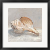 Framed 'Impressionist Shell Study III' border=