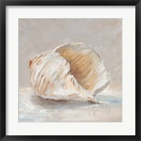 Framed Impressionist Shell Study IV