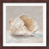 Framed Impressionist Shell Study IV