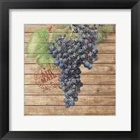 Framed 'Grape Crate I' border=