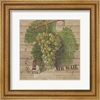 Framed Grape Crate IV