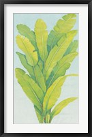 Chartreuse Tropical Foliage II Framed Print