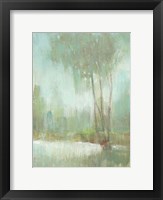 Mist in the Glen II Framed Print