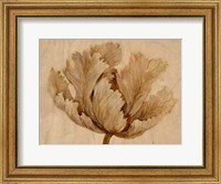 Framed Sepia Tulip on Birch I