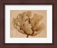 Framed Sepia Tulip on Birch I