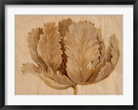 Framed Sepia Tulip on Birch II
