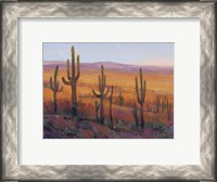 Framed Desert Light I