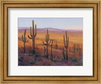 Framed Desert Light I