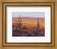 Framed Desert Light II