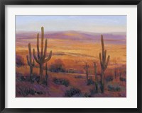 Framed Desert Light II