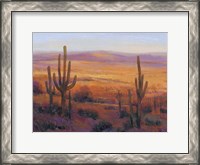 Framed Desert Light II