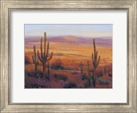 Framed Desert Light II