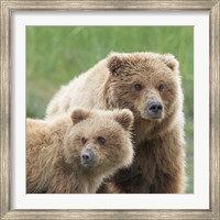 Framed Bear Life III