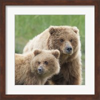 Framed Bear Life III