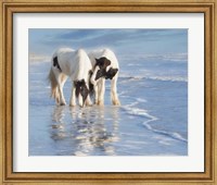 Framed Water Horses I