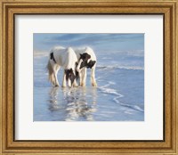 Framed Water Horses I