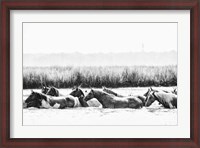 Framed Water Horses III
