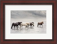 Framed Water Horses IV