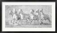 Framed Water Horses V