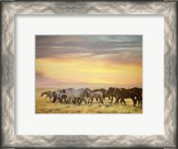 Framed Sunkissed Horses I