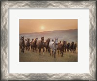 Framed Sunkissed Horses II