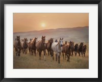 Framed Sunkissed Horses II