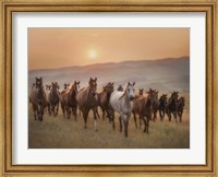 Framed Sunkissed Horses II