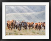 Framed Sunkissed Horses III