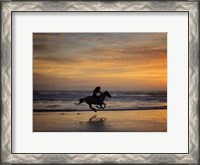 Framed Sunkissed Horses IV