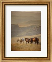 Framed Sunkissed Horses VI
