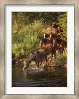 Framed River Horses I