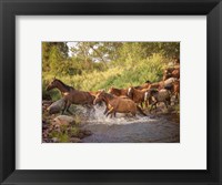 Framed River Horses II