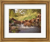 Framed River Horses II