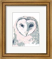 Framed 'Funky Owl Portrait I' border=